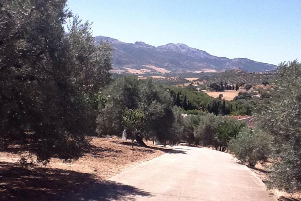 Finca Los Abetos Villa Villanueva del Rosario ภายนอก รูปภาพ